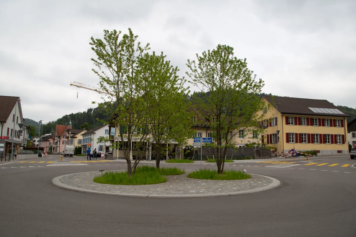Auf dem Kreisel stehen drei Bäume. Die sollen verhindern, dass man auf die andere Seite des Kreisels sieht. Man sieht den Kreisel in Turbenthal. Auf ihm stehen drei Bäume.
